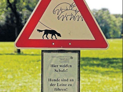 Eines der neuen Schilder Eines der neuen Schilder