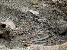 Das Geheimnis der Hexe aus dem Wald