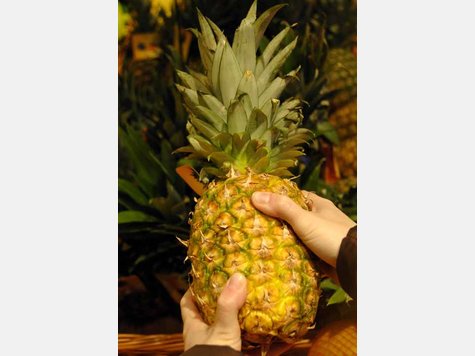 Lüge 2: Die Ananas-Diät. Einseitige Programme wie die Ananas-Diät werden von Fachleuten generell abgelehnt. Auch wenn sich möglicherweise in kurzer Zeit ein Gewichtsverlust einstellt - der Jojo-Effekt lässt nicht auf sich warten. Lüge 2: Die Ananas-Diät. Einseitige Programme wie die Ananas-Diät werden von Fachleuten generell abgelehnt. Auch wenn sich möglicherweise in kurzer Zeit ein Gewichtsverlust einstellt - der Jojo-Effekt lässt nicht auf sich warten.