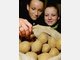 L&uuml;ge 8: Kartoffeln machen dick. Stimmt nicht. Vielmehr machen Kartoffeln satt und sind gesund, weil sie gekocht sehr fettarm sind. Aber: H&auml;nde weg von fettigen Bratkartoffeln oder Kroketten. Das sind logischerweise Kalorienbomben.
