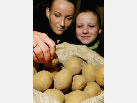 Lüge 8: Kartoffeln machen dick. Stimmt nicht. Vielmehr machen Kartoffeln satt und sind gesund, weil sie gekocht sehr fettarm sind. Aber: Hände weg von fettigen Bratkartoffeln oder Kroketten. Das sind logischerweise Kalorienbomben. Lüge 8: Kartoffeln machen dick. Stimmt nicht. Vielmehr machen Kartoffeln satt und sind gesund, weil sie gekocht sehr fettarm sind. Aber: Hände weg von fettigen Bratkartoffeln oder Kroketten. Das sind logischerweise Kalorienbomben.