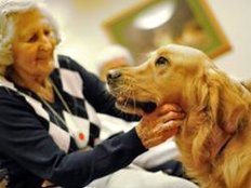 Ein Hund für kranke Fälle