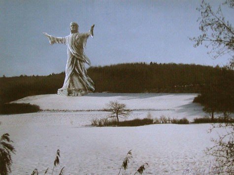 Die Fotomontage zeigt die Landschaft bei Wassertr&uuml;dingen wie sie mit der Statue aussehen w&uuml;rde.