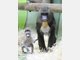 Baby-Mandrills im Tierpark Hellabrunn: Nachwuchs bei den Affen