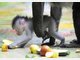 Baby-Mandrills im Tierpark Hellabrunn: Nachwuchs bei den Affen