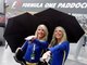 Grid Girls, Boxenluder