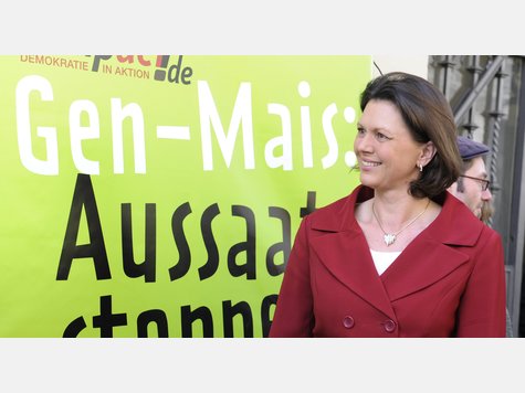 Ilse Aigner, Genmais Ilse Aigner, Genmais