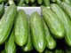 Gurken sind gut f&uuml;r die schlanke Linie, da sie zu 95 Prozent aus Wasser bestehen. Sie enthalten reichlich Vitamine, Mineralstoffe, Enzyme und Spurenelemente. Gurken verbessern die Eiwei&szlig;verdauung, entw&auml;ssern, st&auml;rken die Organe und beugen Falten vor