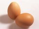 Entgegen der lang verbreiteten Meinung sind Eier keine Cholesterin-Bomben, die unsere Gesundheit gef&auml;hrden. Das Ei enth&auml;lt als Keimzelle neuen Lebens besonders viele Vitamine, Mineralstoffe und Spurenelemente. Es ist leicht verdaulich und daher besonders f&uuml;r &auml;ltere Menschen und f&uuml;r Kinder ein wichtiger Vitalstoff-Lieferant