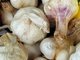 Das Lebenselexier Knoblauch h&auml;lt bis ins hohe Alter fit, wenn man ihn regelm&auml;&szlig;ig isst. Er f&ouml;rdert die Durchblutung, senkt hohe Cholesterinwerte und den Blutdruck. Wenn Knoblauch leicht lila ist, verf&uuml;gt er &uuml;brigens &uuml;ber besonders viele Schutzsubstanzen f&uuml;r Herz und Kreislauf