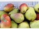 Wussten Sie, dass Birnen urspr&uuml;nglich aus Asien stammen? Der Apfel-Konkurrent versorgt uns mit viel Fl&uuml;ssigkeit, reinigt den Darm und entschlackt. Birnen enthalten Fols&auml;ure, Kalium, Kupfer und Phosphor