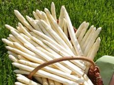 Jetzt sprießt der Spargel