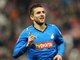 ibisevic_1