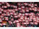 Die besten Fan-Choreographien in Europas Stadien