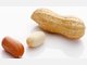 lebensmittel frisch gem&uuml;se obst fleisch