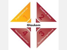 Fragen zu Glaukom und Katarakt