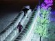 Harbin Eis- und Schneefestival