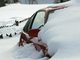 Eis Schnee Auto Winter Vorschriften Bu&szlig;geld
