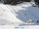 So sterben die Schweine im Schnee