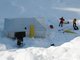 So sterben die Schweine im Schnee