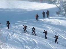 Trendsport und Ärgernis: Skitourengehen auf Pisten Trendsport und Ärgernis: Skitourengehen auf Pisten