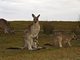 Australien Norden New South Wales