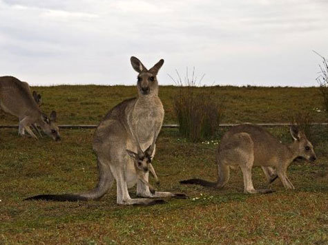 Australien New South Wales Reise