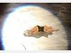 Olympia 2010: Die Tops und Flops