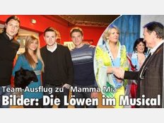 Bilder: Die Löwen im Musical