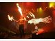 Schlagerstar Michael Wendler ganz privat