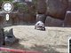 Google Street View: So kurios ist die Welt