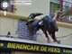 Google Street View: So kurios ist die Welt