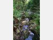 Auf schmalen Stegen ins Hohe Venn: Wanderrouten in der Wallonie