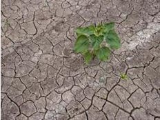 Experten fordern frühzeitige Anpassung an extreme Wetterlagen