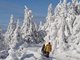 Saisonstart in deutschen Skigebiete