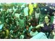 Unicef tz