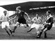 100 Jahre Gr&uuml;nwalder Stadion: Der Jubil&auml;umskalender