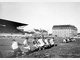 100 Jahre Gr&uuml;nwalder Stadion: Der Jubil&auml;umskalender