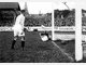 100 Jahre Gr&uuml;nwalder Stadion: Der Jubil&auml;umskalender