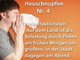 Die zehn besten Tipps bei Heuschnupfen