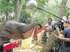 Am 14. Juli startet das Tier- und Umweltfilmfestival Natur Vision