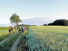 Reporter Ingo Wilhelm auf einer Wandertour für Grenzgänger