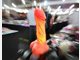 Erotik-Messe Venus: Die ersten Bilder