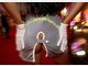 Erotik-Messe Venus: Die ersten Bilder