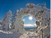 Langlaufen im Bayerischen Wald : Soweit die Skier gleiten