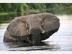 Botswana: Auf Safari in einem reichen Land