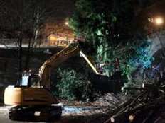 VGH-Urteil: Für Stuttgart 21 dürfen Bäume fallen