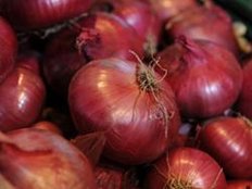 Fruit Logistica: Deutsche essen lieber Zwiebel als Gurke