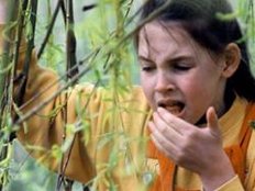 Heuschnupfen: Experte warnt vor Birkenpollen