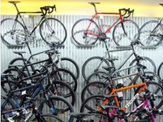 Mountainbike, Trekkingrad oder Roadbike: Erkennen Sie Ihren Rad-Typ